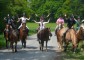 Equestrian Camp for girls "Osnabruck" with possibility of studing English or German languages 10