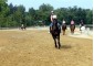 Equestrian Camp for girls "Osnabruck" with possibility of studing English or German languages 9