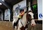 Equestrian Camp for girls "Osnabruck" with possibility of studing English or German languages 17