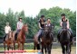 Equestrian Camp for girls "Osnabruck" with possibility of studing English or German languages 12