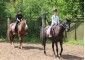 Horse riding camp Doroga dobra 11