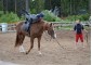 Horse riding camp Doroga dobra 15
