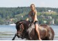 Horse-Hiking Volga  29