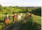 Horse-Hiking Volga  0
