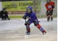 Czech International Hockey Camp. Hockey camp for field players 3