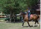 Horse riding camp Roma 4