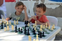 Edu Chess. Chess fees with the participation of the grandmaster!  