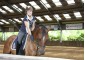 Equestrian Camp for girls "Osnabruck" with possibility of studing English or German languages 3