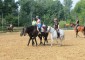 Equestrian Camp for girls "Osnabruck" with possibility of studing English or German languages 24
