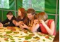 Camp for families with "special" children in the village of Davydovo 9
