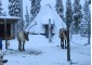 Bravo. Winter in Laplandiya 3