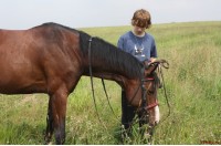 Summer equestrian camp VSedlo.ru    Horse riding summer camp VSedlo.ru   