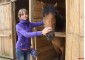 Summer equestrian camp VSedlo.ru    Horse riding summer camp VSedlo.ru    20