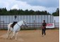 Summer equestrian camp VSedlo.ru    Horse riding summer camp VSedlo.ru    40