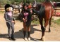 Summer equestrian camp VSedlo.ru    Horse riding summer camp VSedlo.ru    41