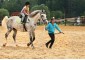 Summer equestrian camp VSedlo.ru    Horse riding summer camp VSedlo.ru    42