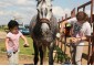 Summer equestrian camp VSedlo.ru    Horse riding summer camp VSedlo.ru    46