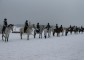 Hobbycamp spring horse camp VSedlo.ru     33