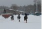 Hobbycamp spring horse camp VSedlo.ru     30