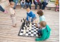  Intellectual camp. Russian chess school 13