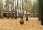 О'подростки / O'teens 3