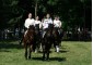 Equestrian club Super horse 8