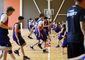 Учебно-тренировочные сборы по баскетболу IBasket PRO 10